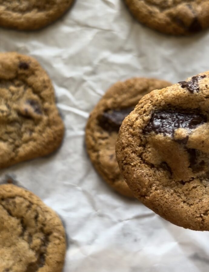 Gingerbread dark chocolate cookies