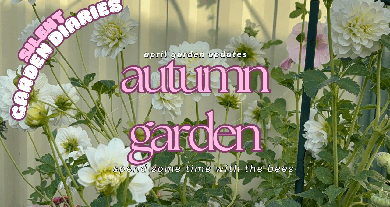 Autumn Flower updates ~ A Peaceful April Garden Video Diary