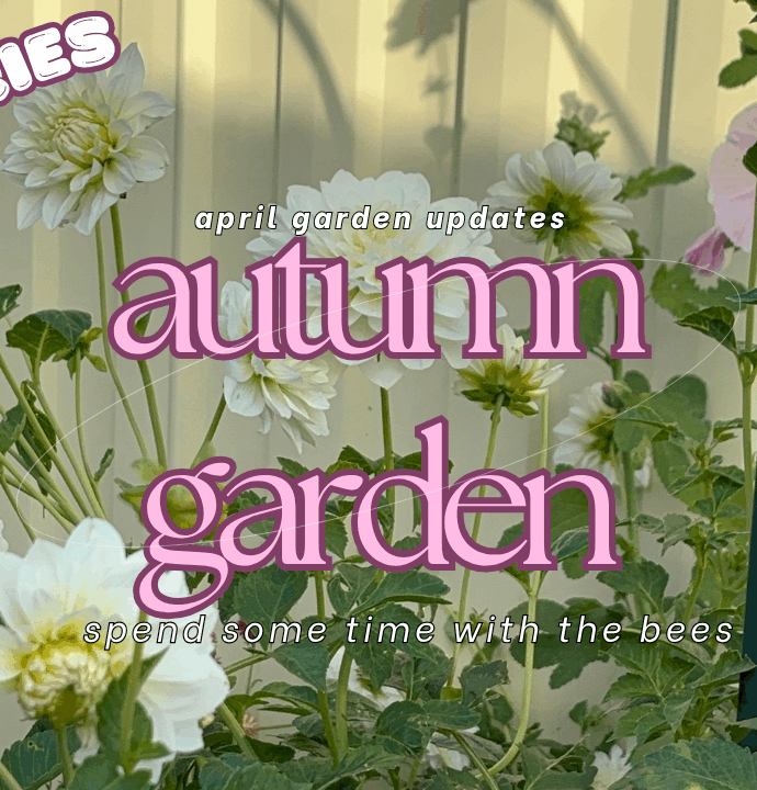 Autumn Flower updates ~ A Peaceful April Garden Video Diary